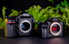 Tutti Fotografi di Novembre: Nikon D850 Vs Sony A7R III